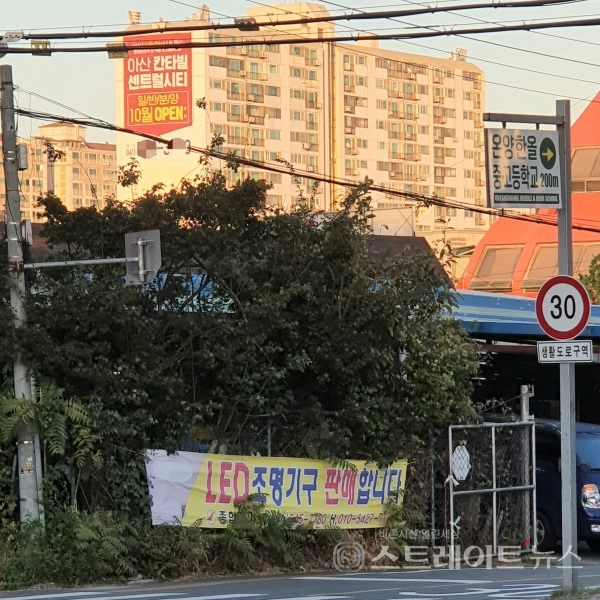 이미지 2
