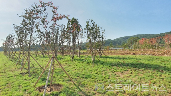[르포] '기다렸다 광양 첫 더샵' 광양베이센트, 역대급 청약성적 기대감 '솔솔'