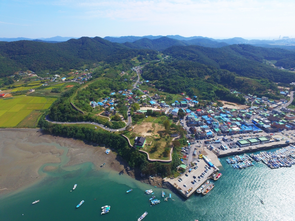 보령(025200) 관련 이미지 6