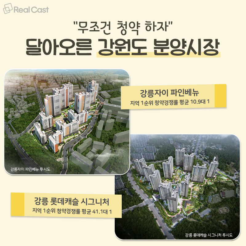 강원 원주시 혁신도시자이 완전 분석 — 시세·학군·교통·투자 전망 (2026)