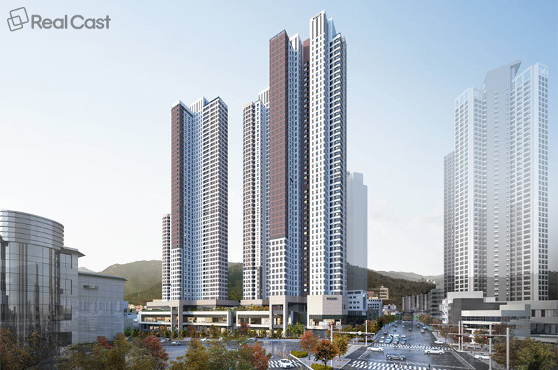 빌리브 라디체 투자 분석 — 대구