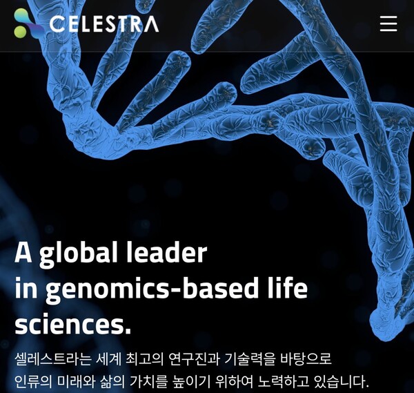 셀레스트라(352770) 관련 이미지 4