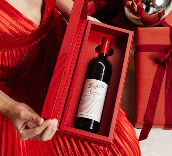 펜폴즈 그랜지 2019 (Penfolds Grange 2019)