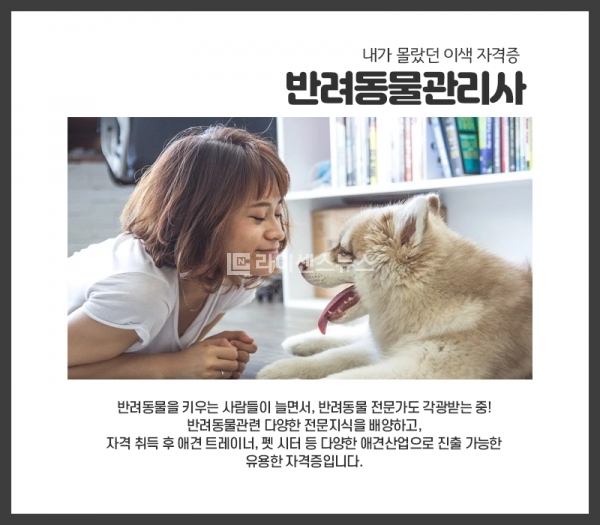 애완동물 훈련사 자격증
