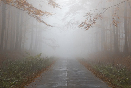 6. Tomorrow's Weather Outlook and Final Action Guidelines