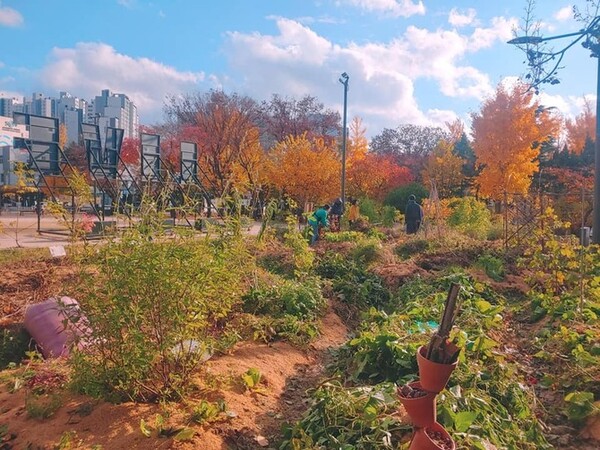 도심에서 '생산하고 순환하는' 삶을 살아가는 전환마을은평