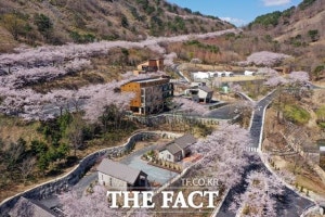 월아산 자연휴양림