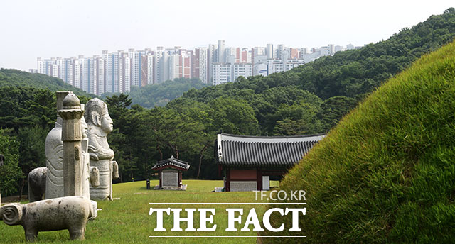 '문화 유산 너머, 아파트' [포토]