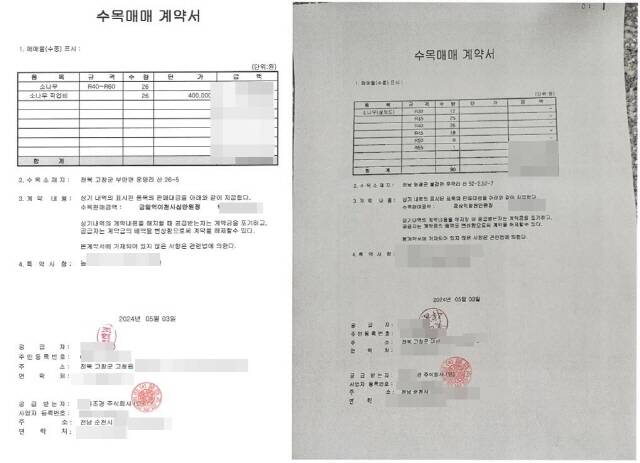 순천 트리마제 아파트, 부실시공 이어 '소나무 불법 식재' 논란 확산